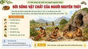 lich su 6 slide bai giang xa hoi nguyen thuy 2