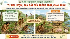 lich su 6 slide bai giang xa hoi nguyen thuy 2