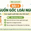 slide bai giang lich su 6 bai 3 nguon goc loai nguoi