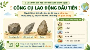 slide bai giang lich su 6 bai 3 nguon goc loai nguoi bce