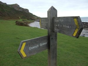 Decisions Decisions (Horton, Point or Green)