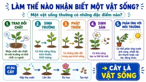 Alternative view of Bài 1 – Giới thiệu về Khoa học tự nhiên - Slide bài giảng lớp 6