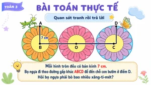 Alternative view of [Toán 3] Bài 17 – Hình tròn: Tâm, bán kính, đường kính | Slide bài giảng