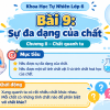 slide bai giang bai 9 da dang cua chat