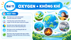 Bài 11: Oxygen - Không Khí