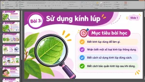 Alternative view of Bài 3 – Sử Dụng Kính Lúp