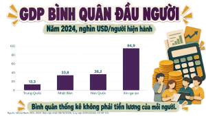 Bài 08: Thực hành: Tìm hiểu về các nền kinh tế lớn và kinh tế mới nổi của châu Á - Image 3