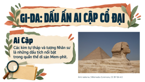 Bài 10: Dân cư, xã hội châu Phi - Image 3