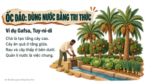 Bài 11: Phương thức con người khai thác, sử dụng và bảo vệ thiên nhiên ở châu Phi - Image 3