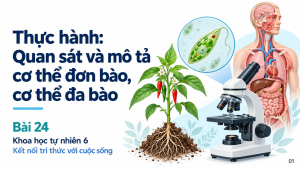 Bìa PowerPoint KHTN 6 Bài 24: Thực hành quan sát và mô tả cơ thể đơn bào, cơ thể đa bào.