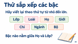 Bài tập sắp xếp bảy bậc phân loại sinh vật từ nhỏ đến lớn.
