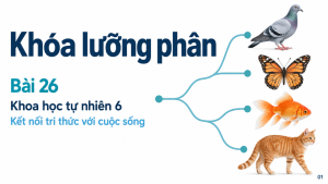 Bìa PowerPoint KHTN 6 Bài 26: Khóa lưỡng phân, Kết nối tri thức với cuộc sống.