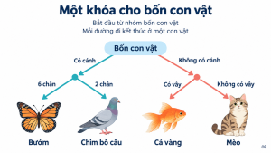 Trang mẫu Bài 26: khóa lưỡng phân nhận dạng bướm, chim bồ câu, cá vàng và mèo.