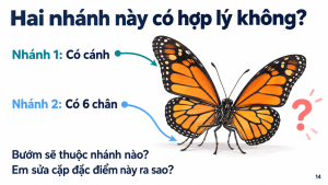 Trang mẫu Bài 26: phát hiện cặp nhánh có cánh và có sáu chân bị chồng lặp ở bướm.