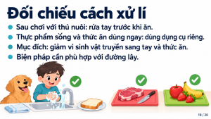 Trang mẫu Bài 27: rửa tay sau khi chơi với thú nuôi và dùng dụng cụ riêng cho thực phẩm sống.