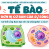 Bìa bài giảng KHTN 6 Bài 18 với sơ đồ minh họa tế bào thực vật và động vật