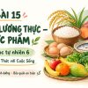 Bài 15 Một số lương thực – thực phẩm, PowerPoint KHTN 6 Kết nối tri thức