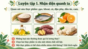 PowerPoint KHTN 6 Bài 15: Một số lương thực – thực phẩm – Kết nối tri thức - Image 4