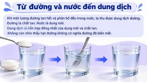 Alternative view of PowerPoint KHTN 6 Bài 16: Hỗn hợp các chất – Kết nối tri thức