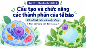 Bìa PowerPoint KHTN 6 Bài 19 về cấu tạo và chức năng các thành phần của tế bào