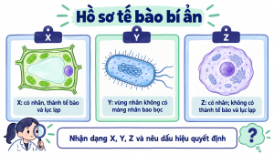 Trang mẫu luyện tập cấu tạo và chức năng tế bào trong Bài 19