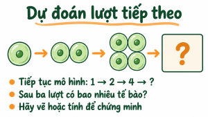 PowerPoint KHTN 6 Bài 20: Sự lớn lên và sinh sản của tế bào – Kết nối tri thức - Image 3