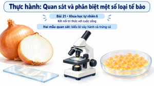Bìa PowerPoint KHTN 6 Bài 21: Thực hành quan sát và phân biệt một số loại tế bào