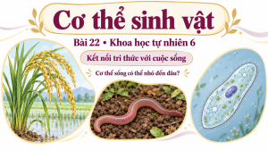 Bìa PowerPoint KHTN 6 Bài 22: Cơ thể sinh vật